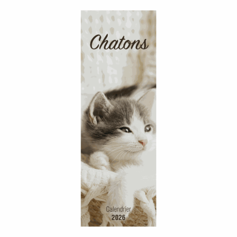 Calendrier Slim chatons – 2026